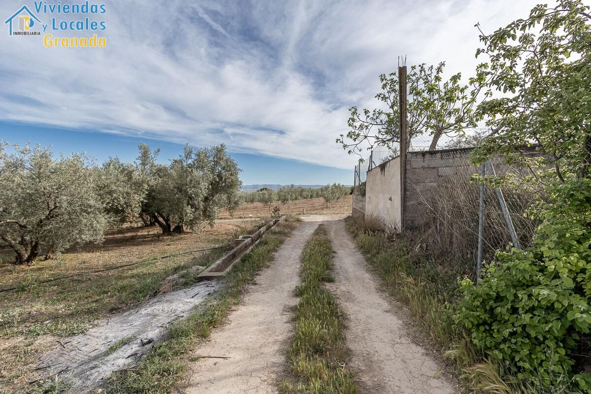 MAGNÍFICA PARCELA CERCANA A CTRA. DE URB. EL TORREÓN - foto 3