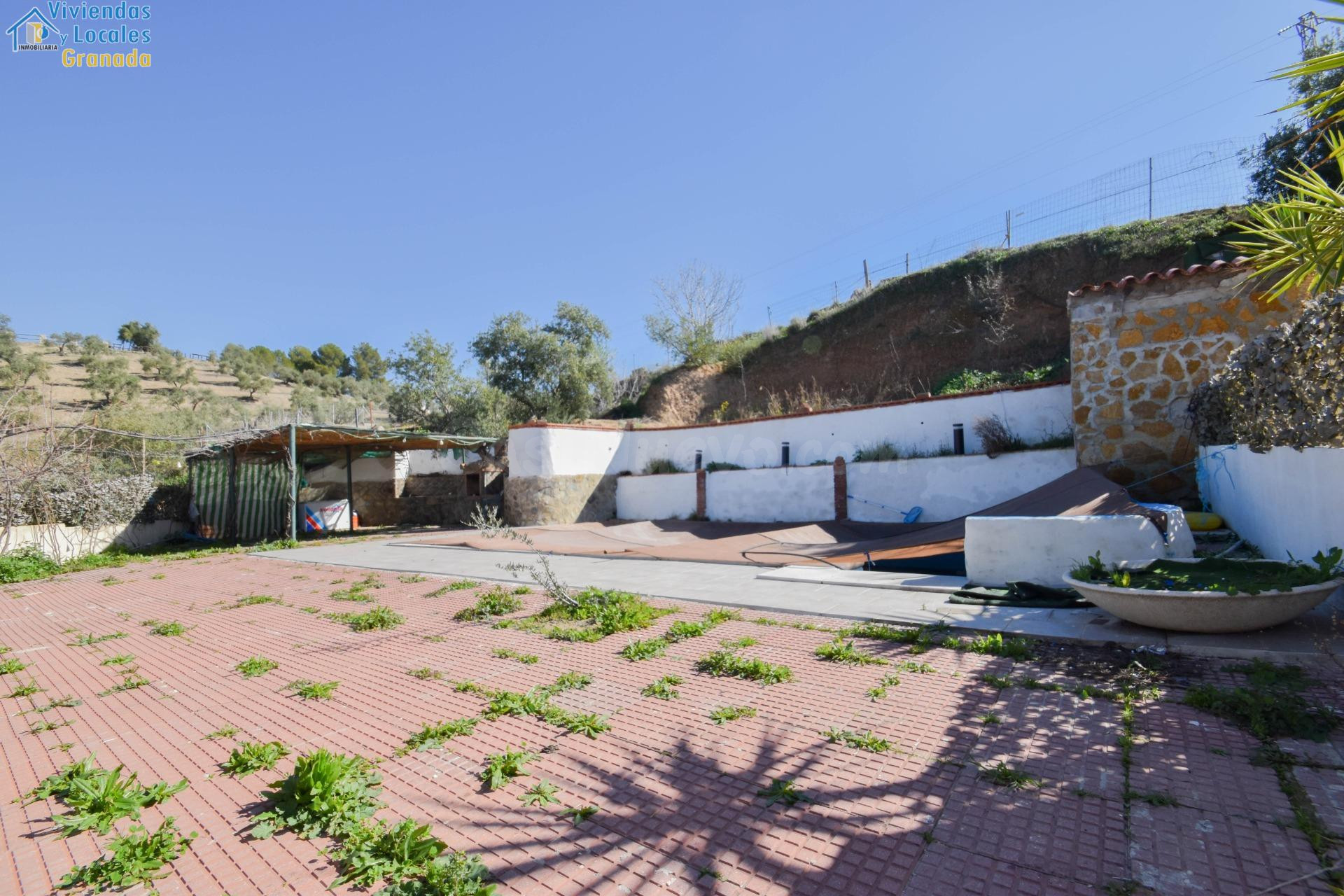 CORTIJO CON FINCA DE OLIVOS