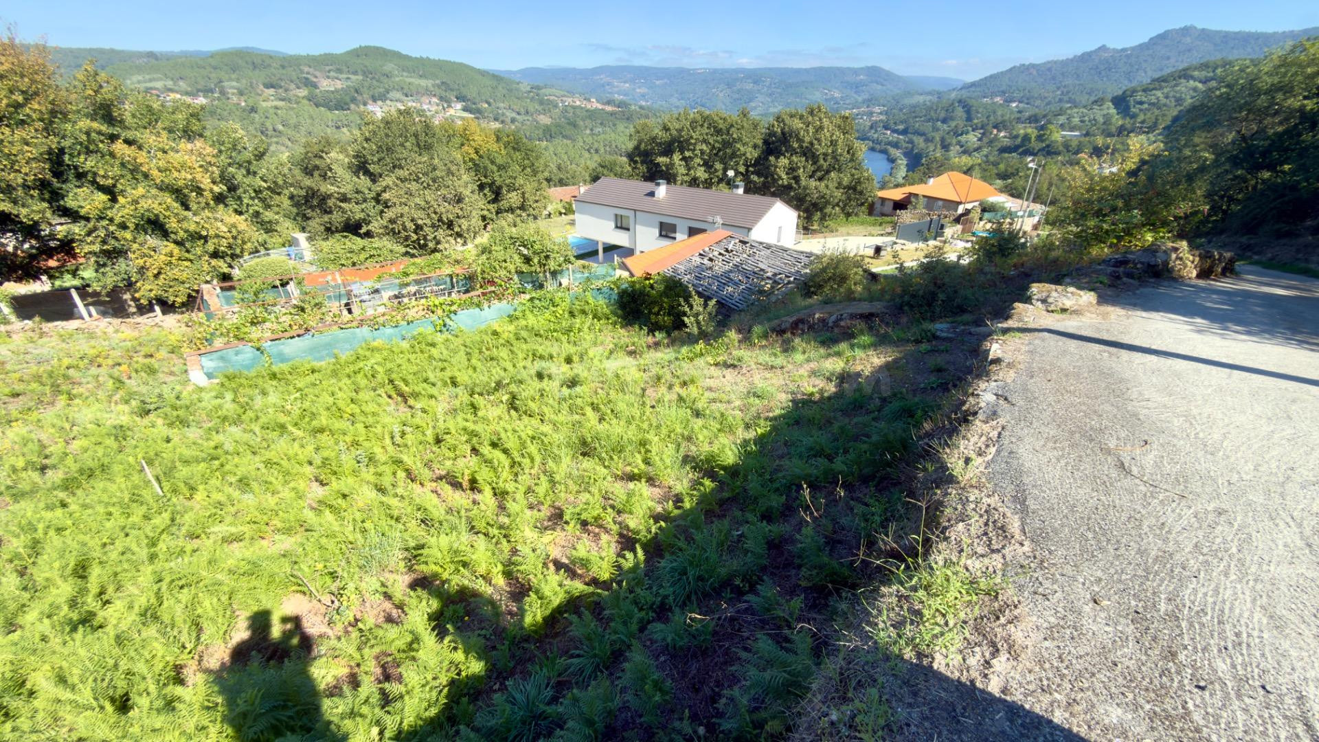 Terreno Rústico con Vistas Espectaculares a la Ribeira Sacra - foto 4