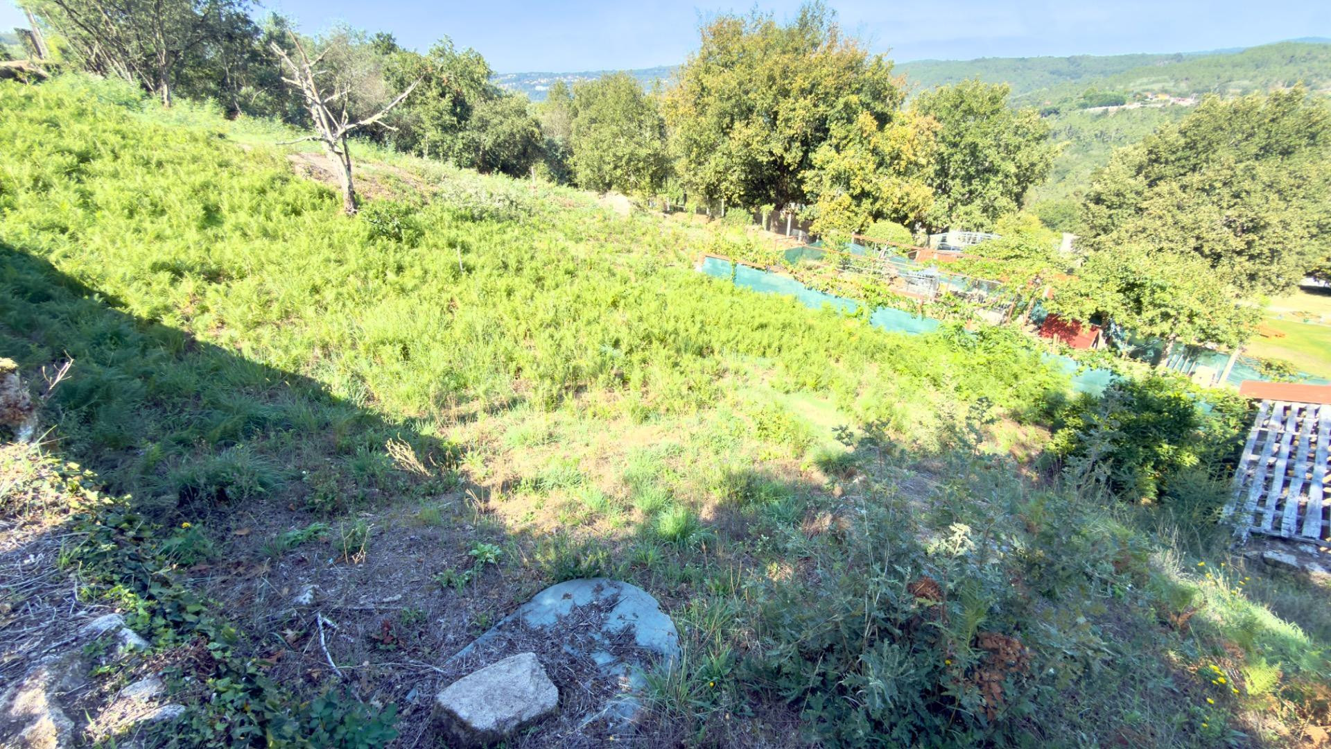 Terreno Rústico con Vistas Espectaculares a la Ribeira Sacra - foto 5