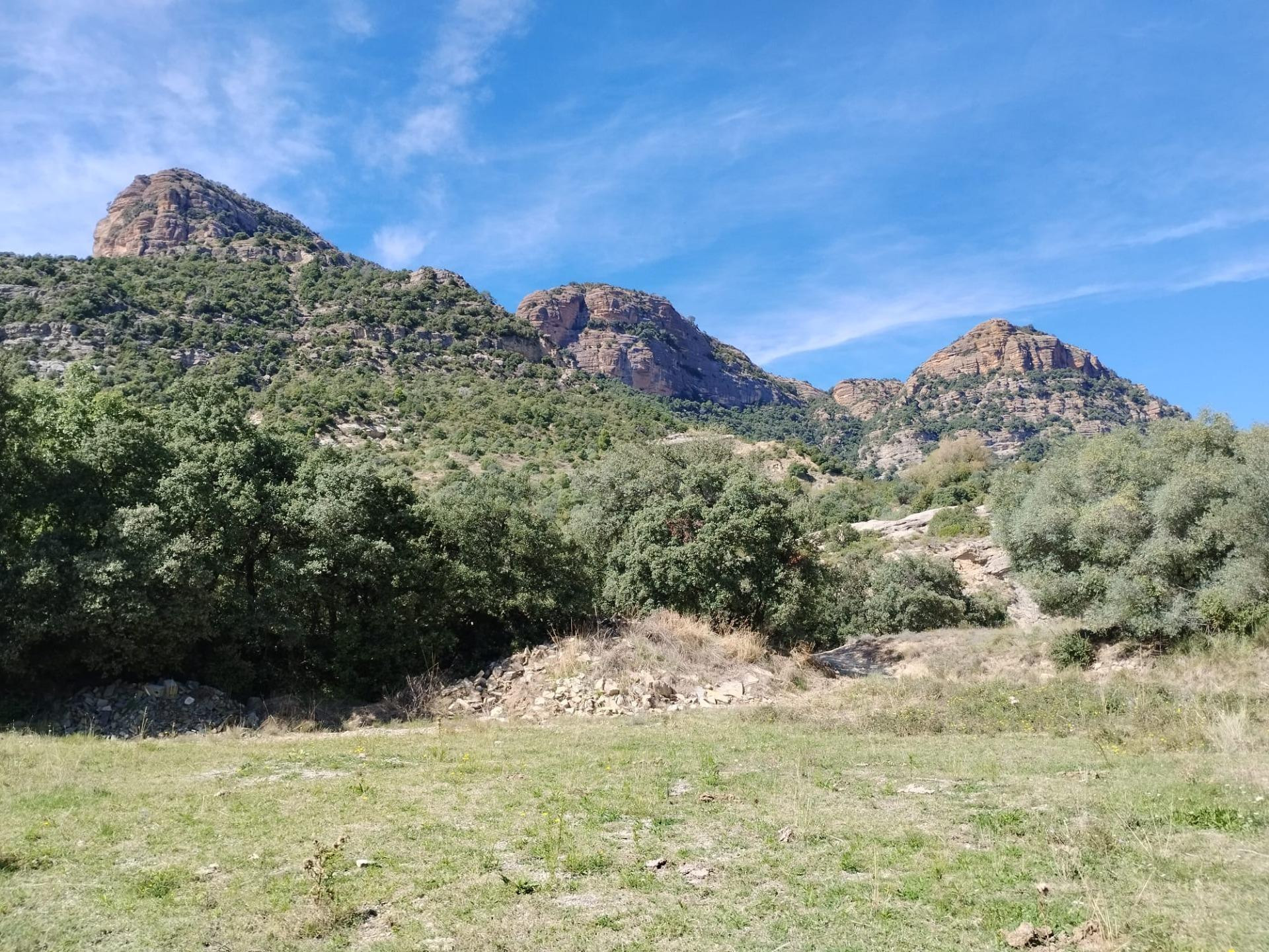 Extraordinaria propiedad en el Sobrarbe Aragonés de 600 hect - foto 5