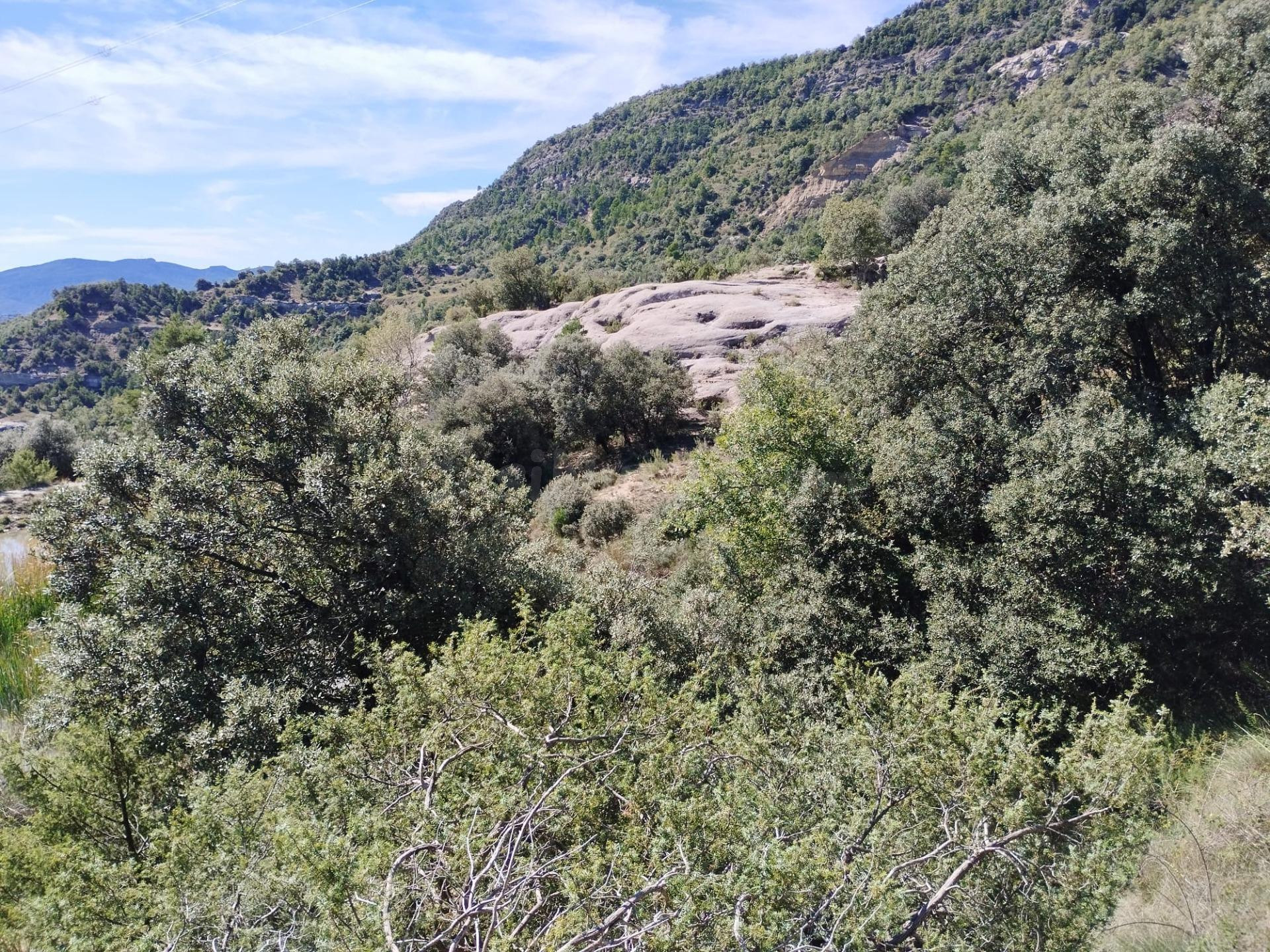 Extraordinaria propiedad en el Sobrarbe Aragonés de 600 hect - foto 4