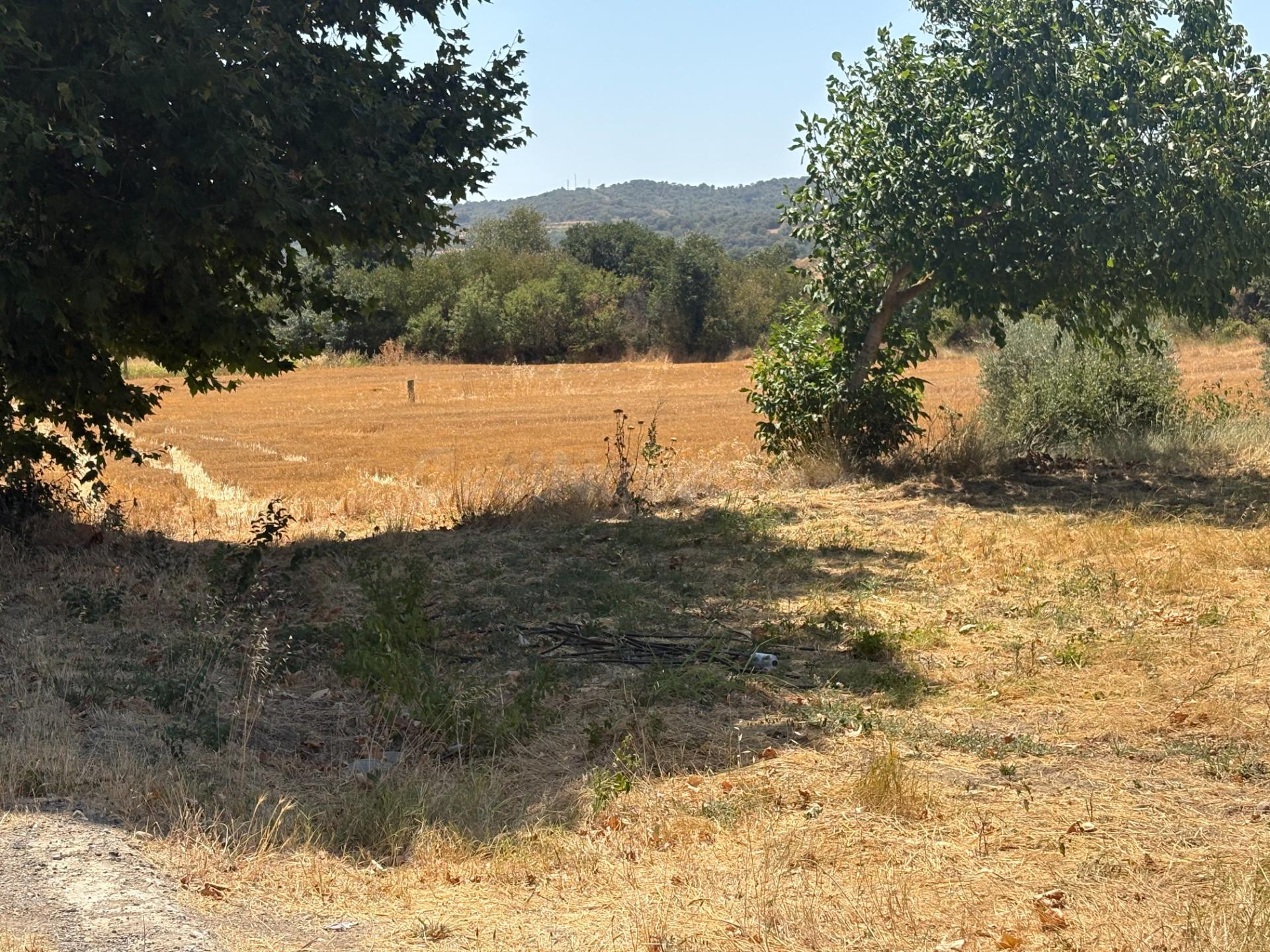 Finca en venta en el Somontano de Barbastro - foto 3