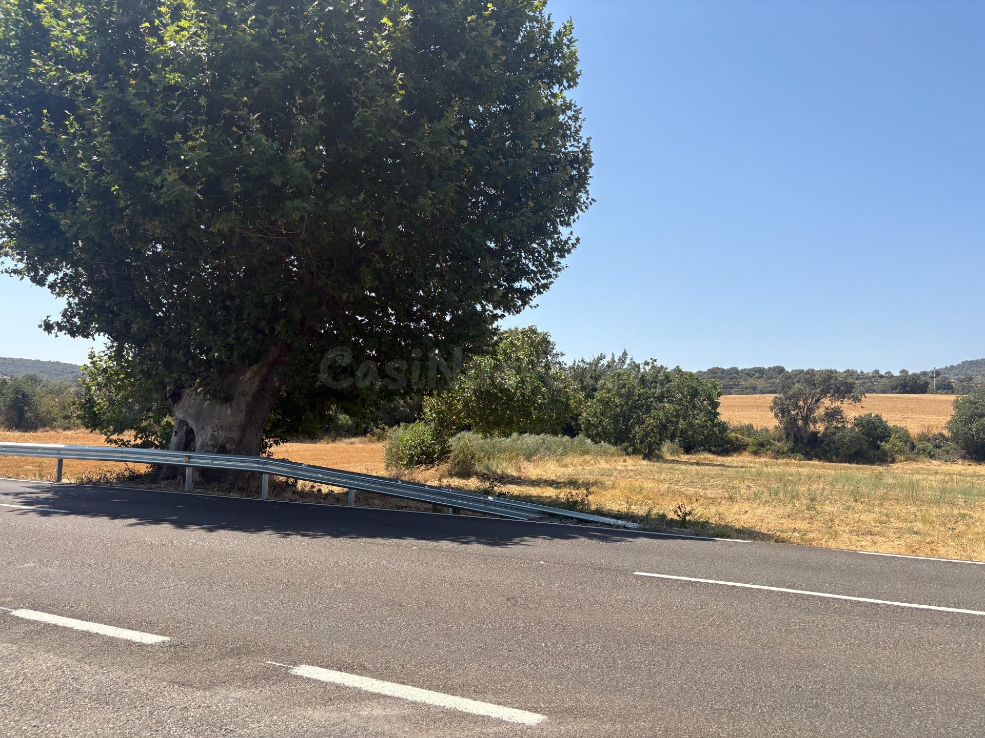 Finca en venta en el Somontano de Barbastro - foto 4
