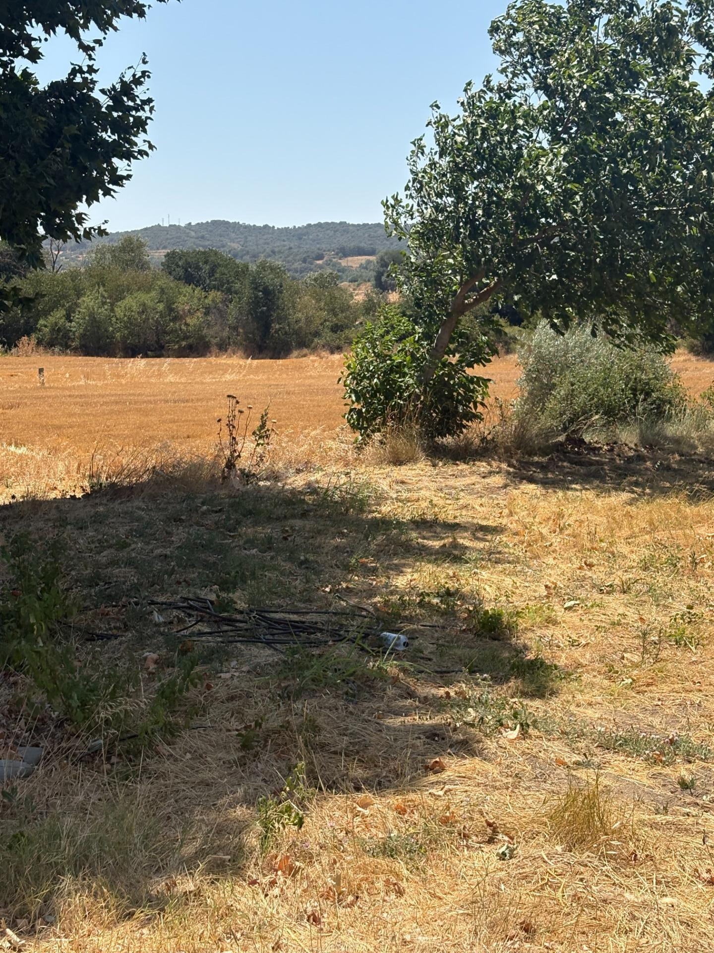 Finca en venta en el Somontano de Barbastro - foto 5