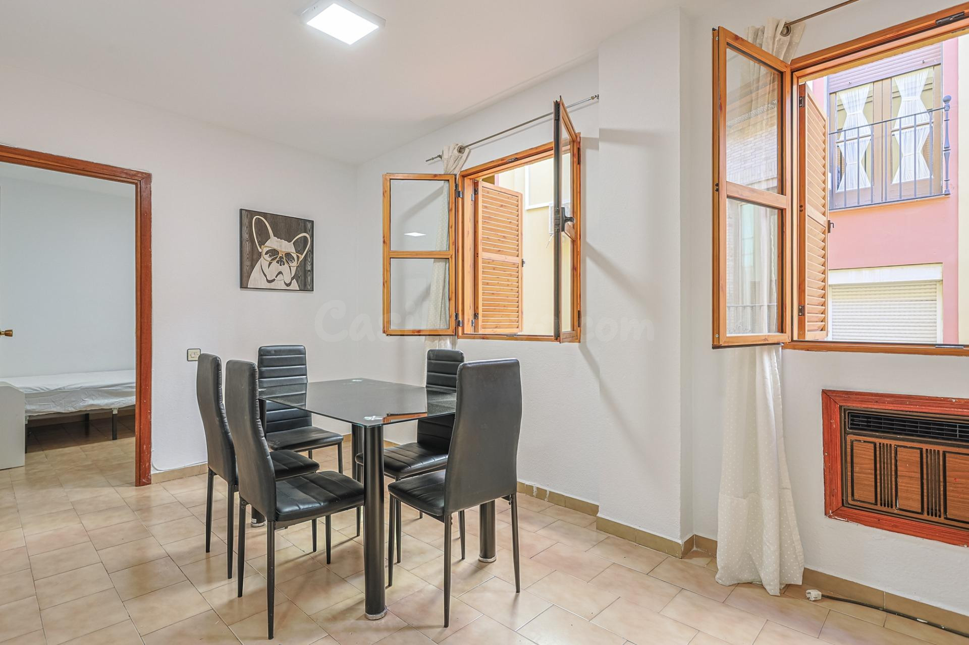 TU VIVIENDA O INVERSION EN EL CENTRO DE SEVILLA - foto 5