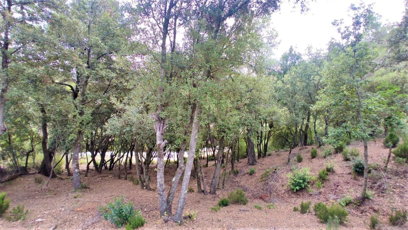 Terreno de 2.299m2 en venta en les Pedritxes, Matadepera