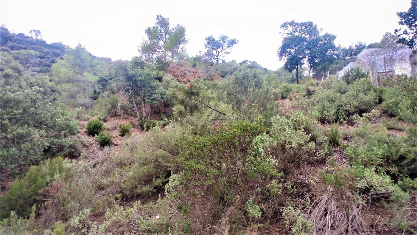 Terreno de 2.299m2 en venta en les Pedritxes, Matadepera - foto 4