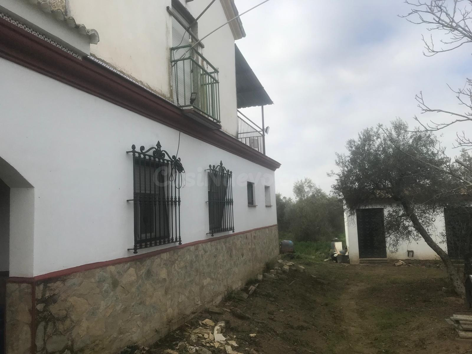 GRAN PARCELA CON VIVIENDA EN AZNALCAZAR - foto 2