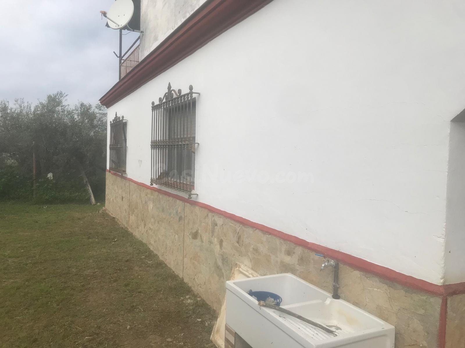 GRAN PARCELA CON VIVIENDA EN AZNALCAZAR - foto 3