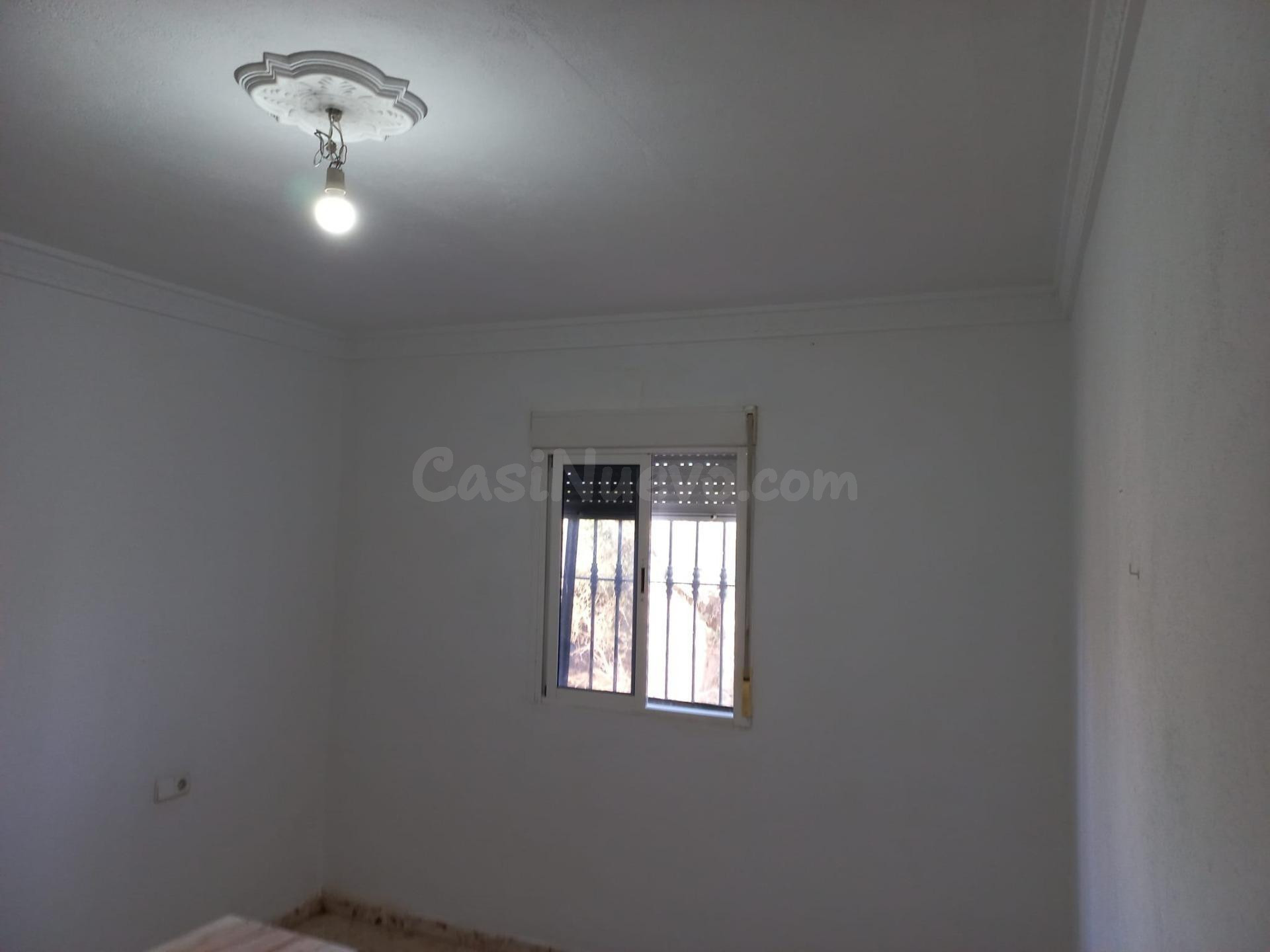 GRAN PARCELA CON VIVIENDA EN AZNALCAZAR - foto 5
