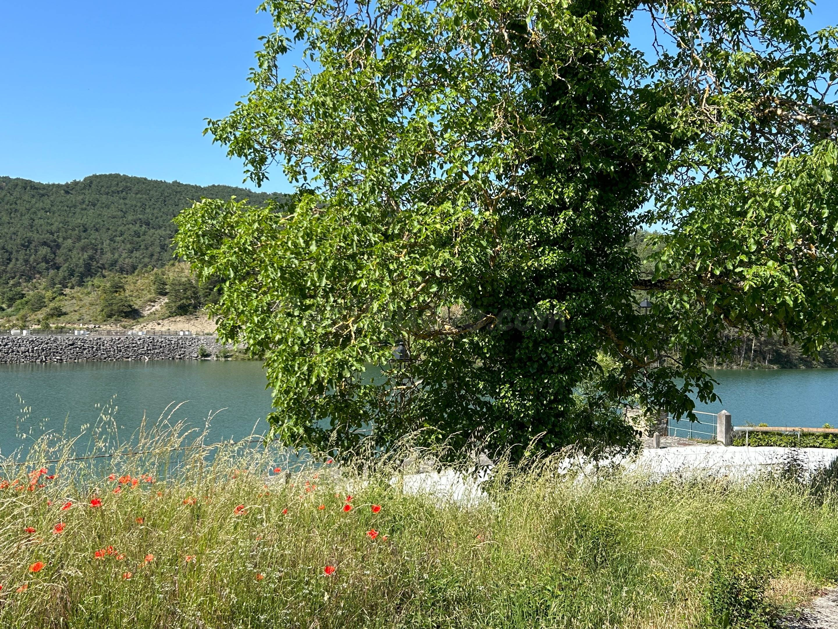 Venta de terreno en Nagore, Navarra. - foto 4