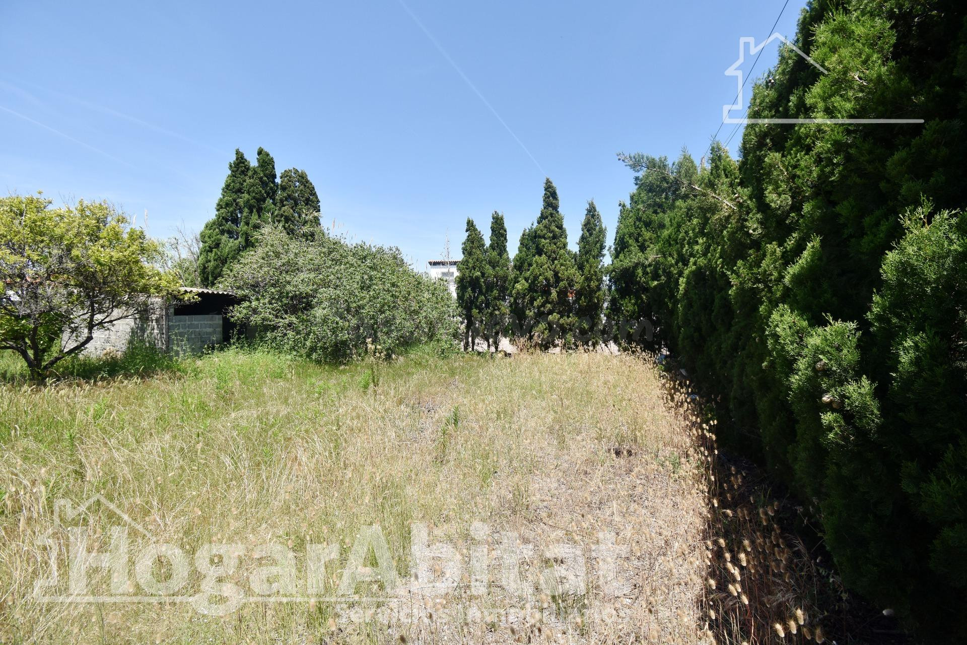 ¡MAGNÍFICA OPORTUNIDAD! TERRENO URBANO Y AMPLIO EN LA PLAYA  - foto 3