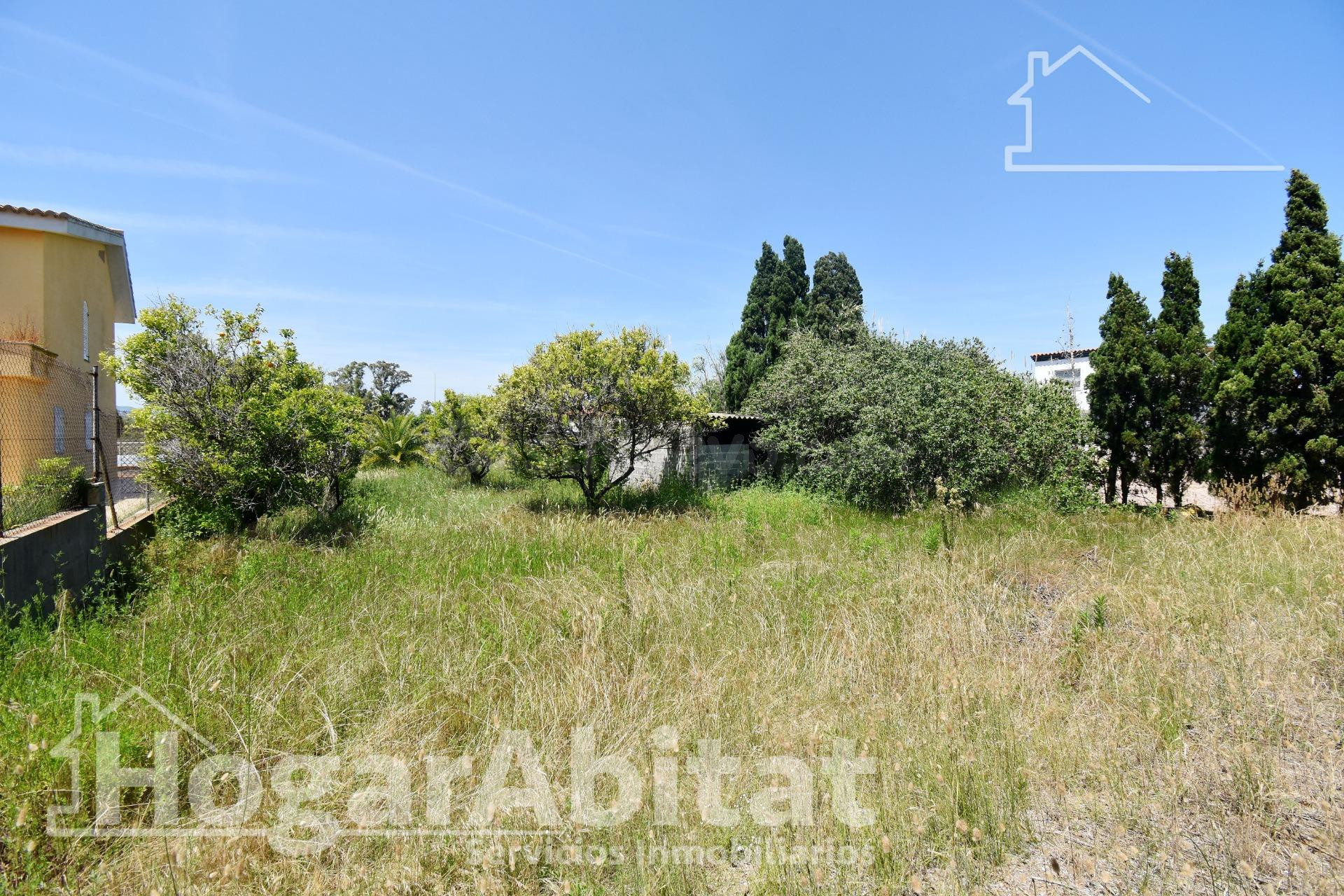 ¡MAGNÍFICA OPORTUNIDAD! TERRENO URBANO Y AMPLIO EN LA PLAYA  - foto 4