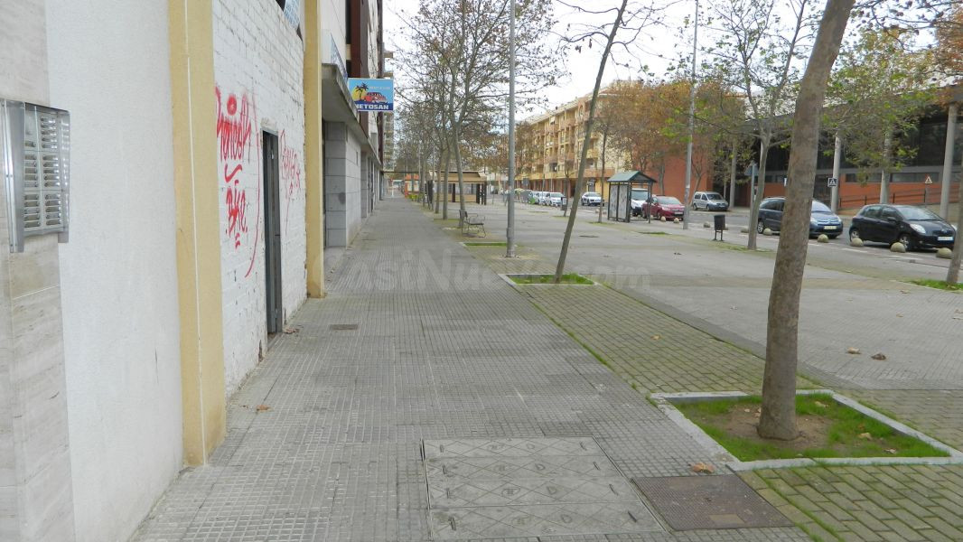 LOCAL COMERCIAL