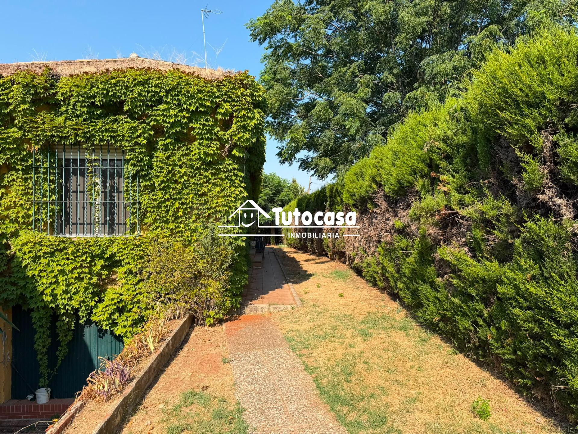Chalet independiente con piscina en La Motilla – Amplitud, p