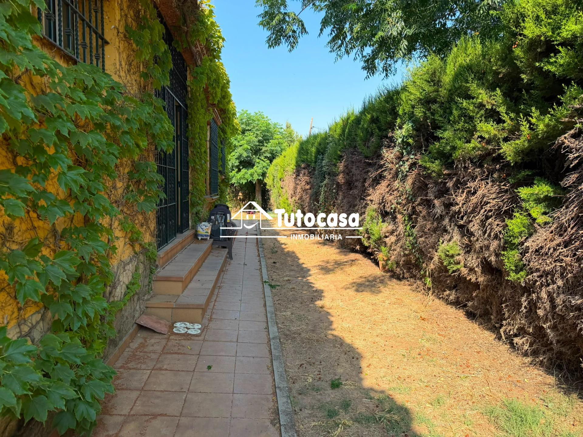 Chalet independiente con piscina en La Motilla – Amplitud, p - foto 3