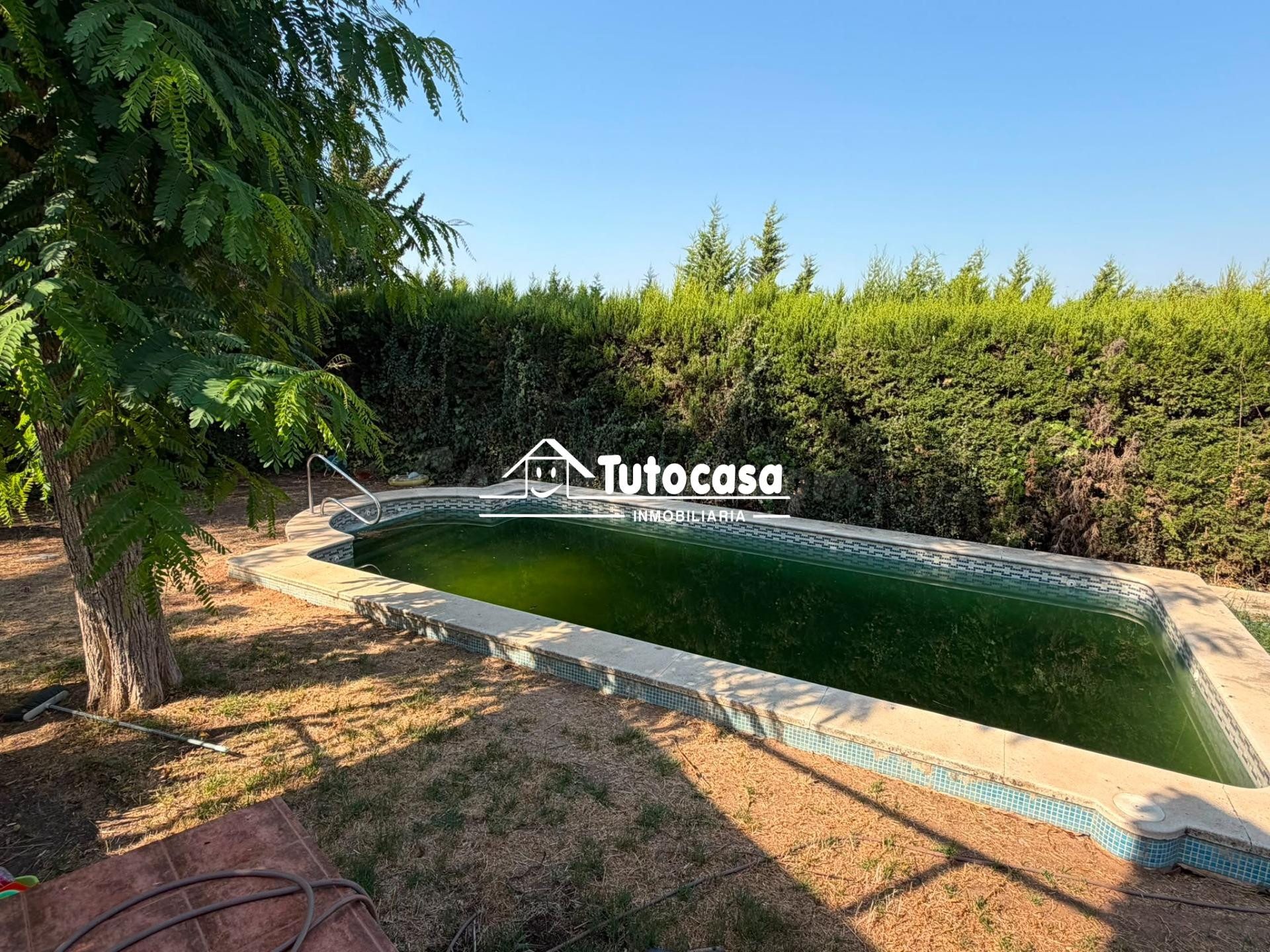 Chalet independiente con piscina en La Motilla – Amplitud, p - foto 5
