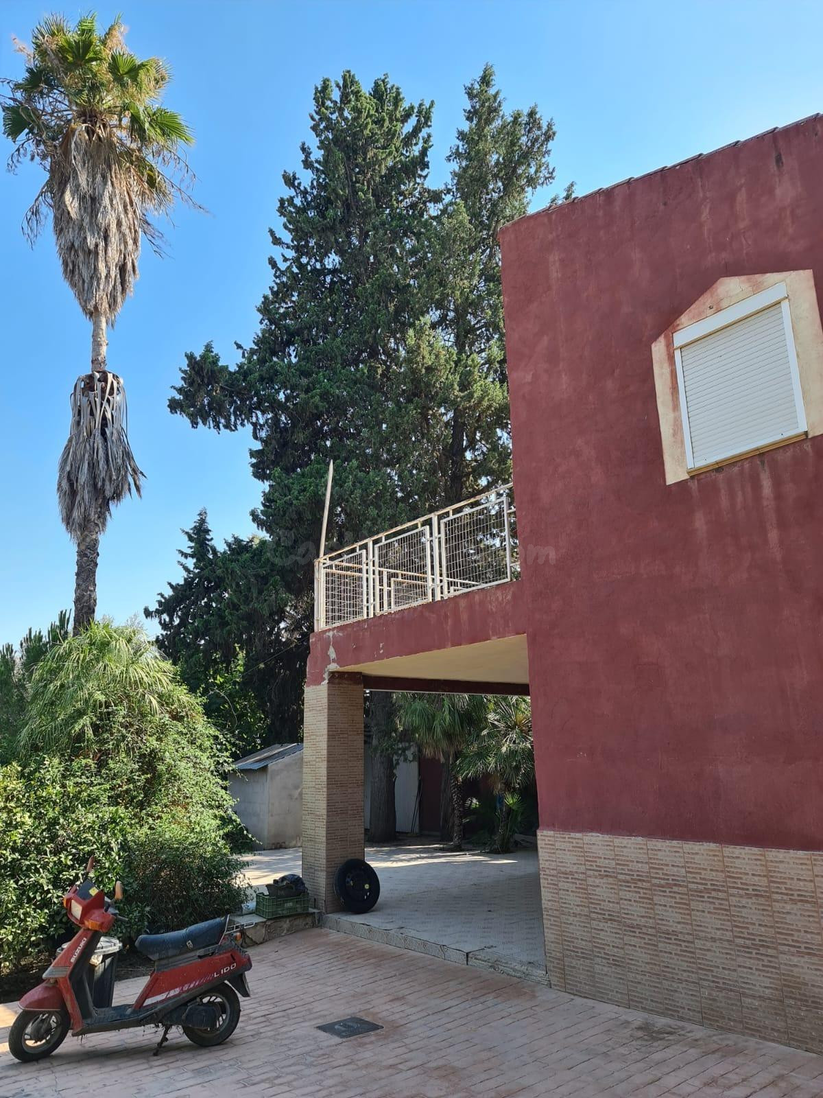 Casa con terreno en el Camino de La Arboleja