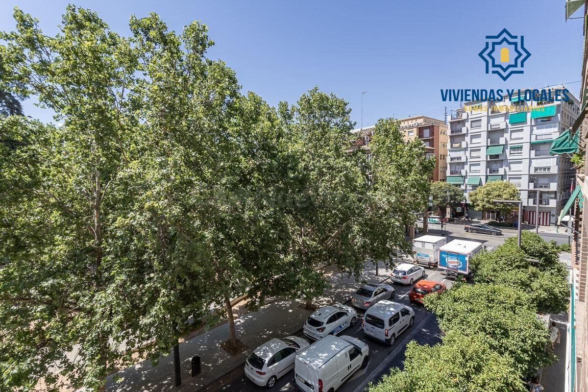 Residencia señorial reformada en la emblemática Carrera de l - foto 3
