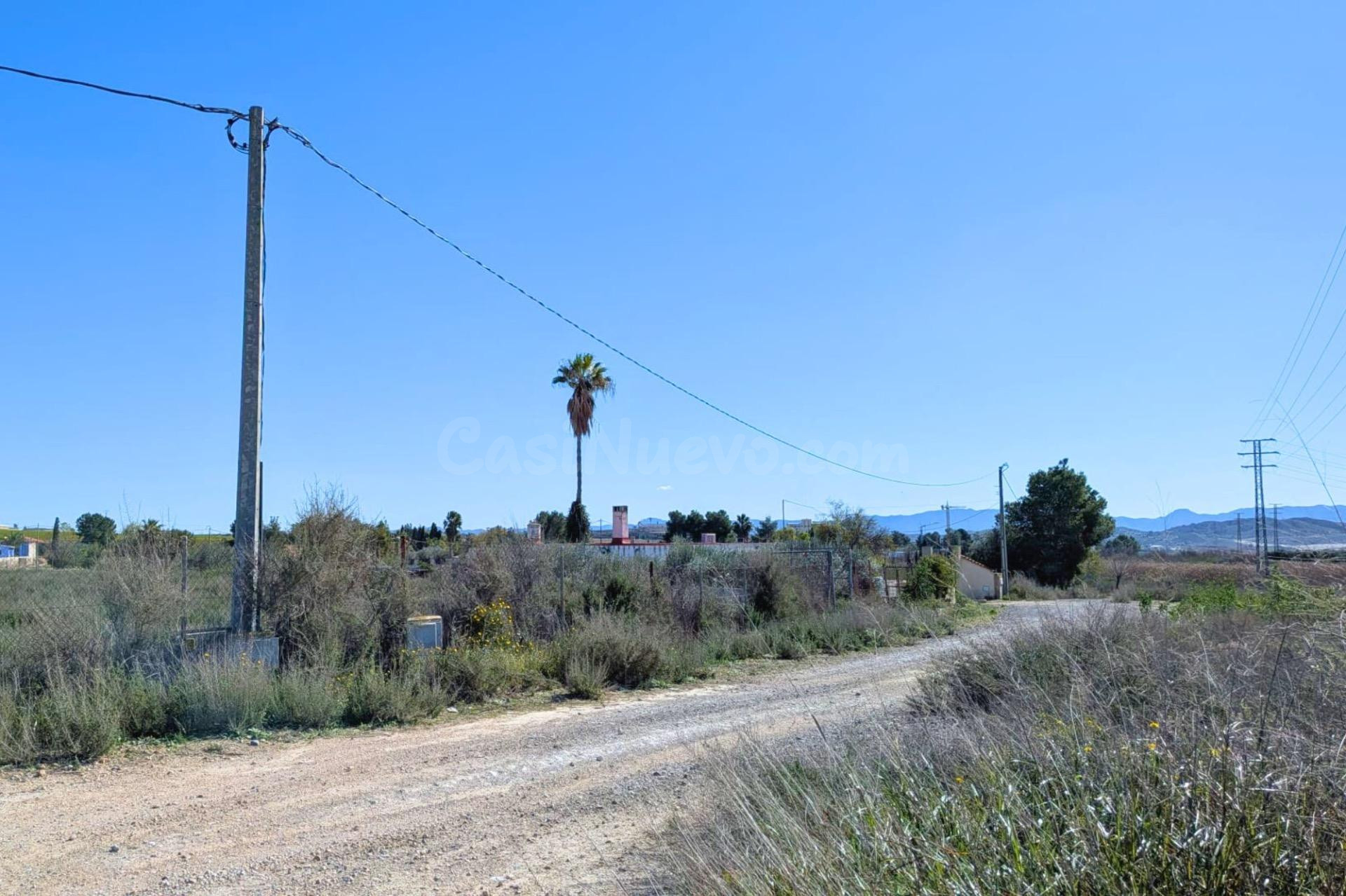 Terreno rústico de 2.424 m2 junto a la futura autovía del Ar
