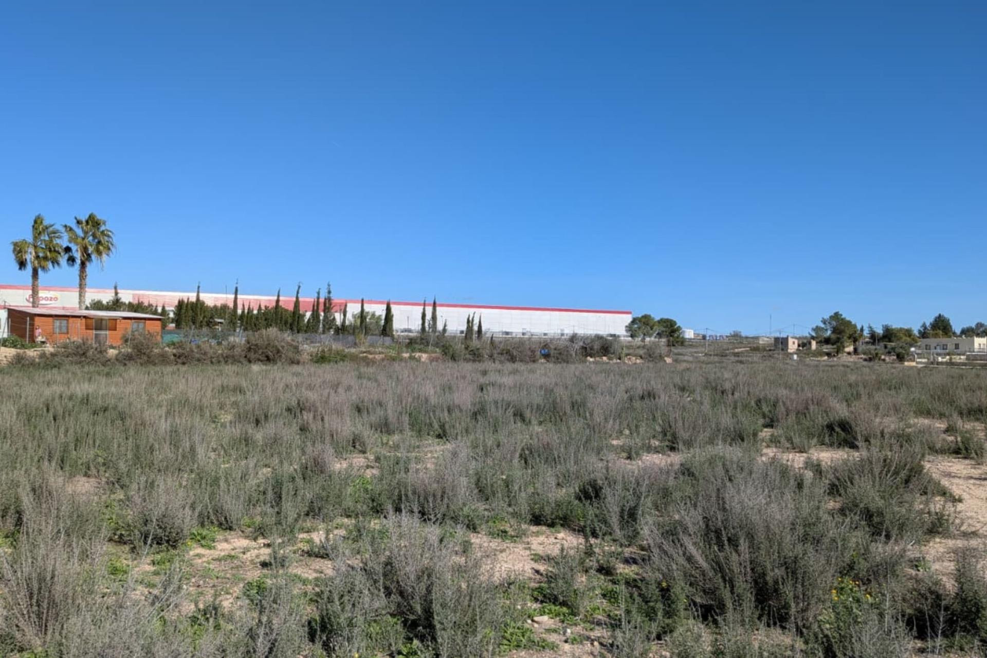 Terreno rústico de 2.424 m2 junto a la futura autovía del Ar - foto 4