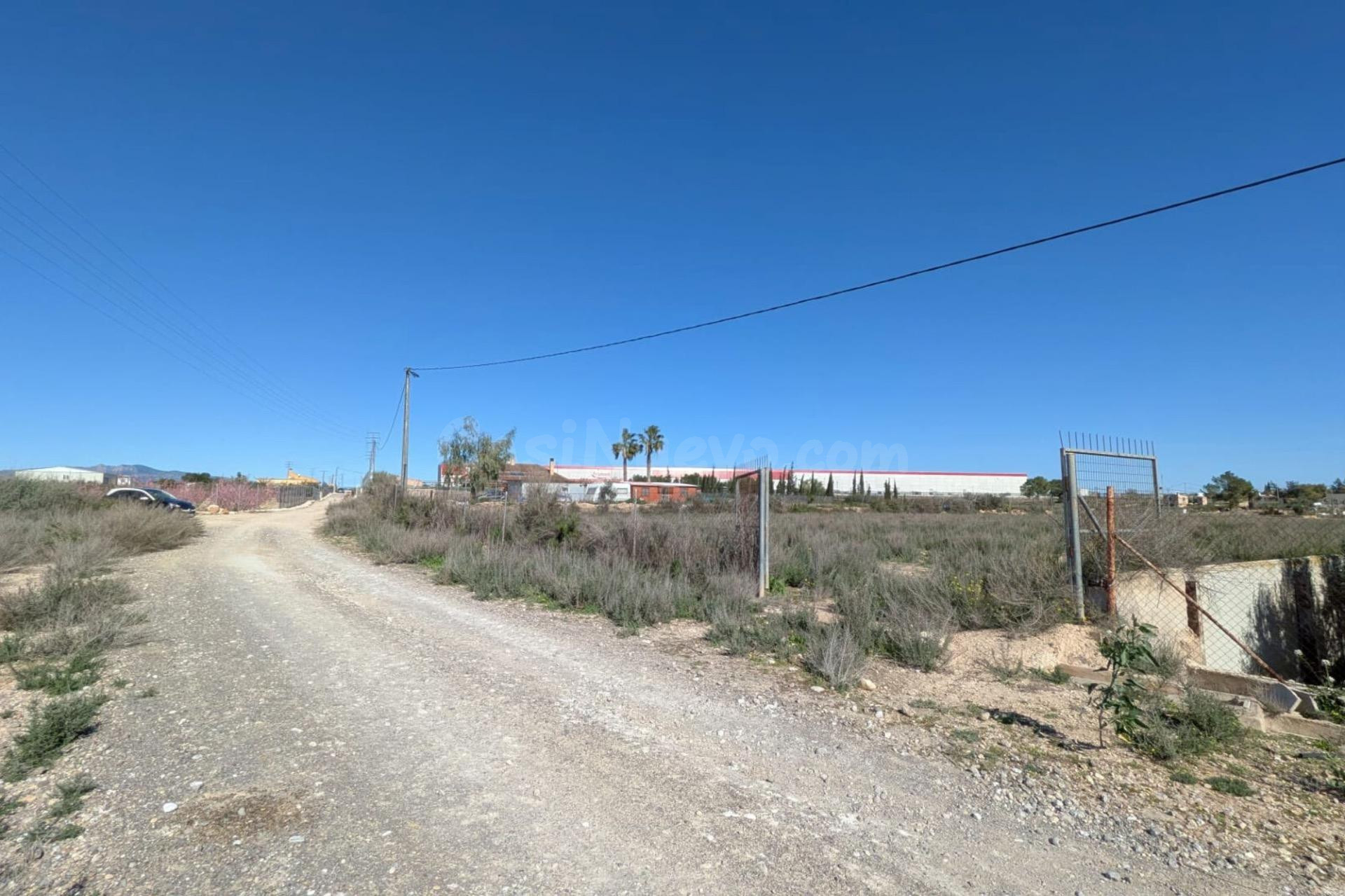 Terreno rústico de 2.424 m2 junto a la futura autovía del Ar - foto 5