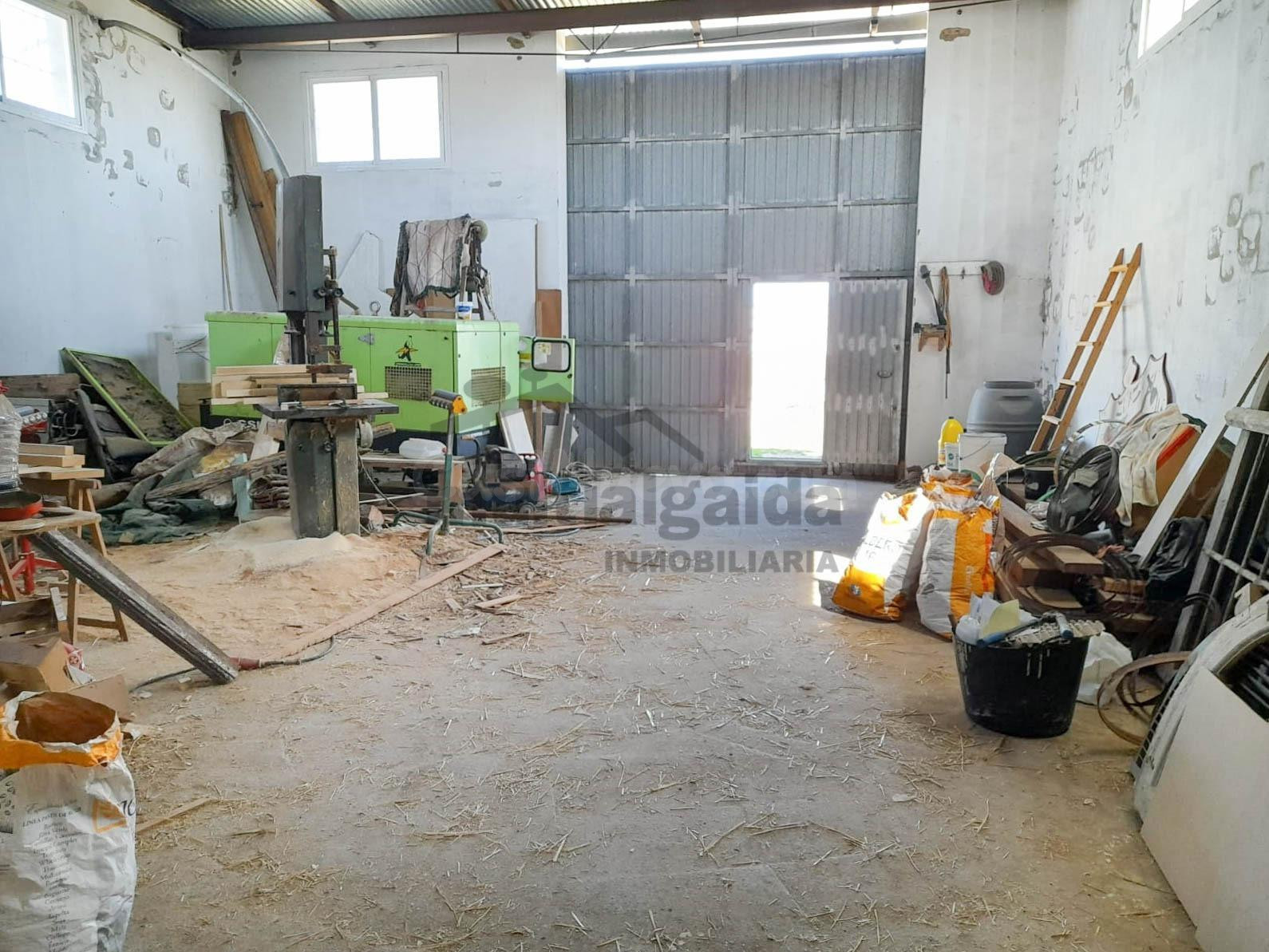 FINCA RÚSTICA EN CAMINO MUNIVE - foto 4