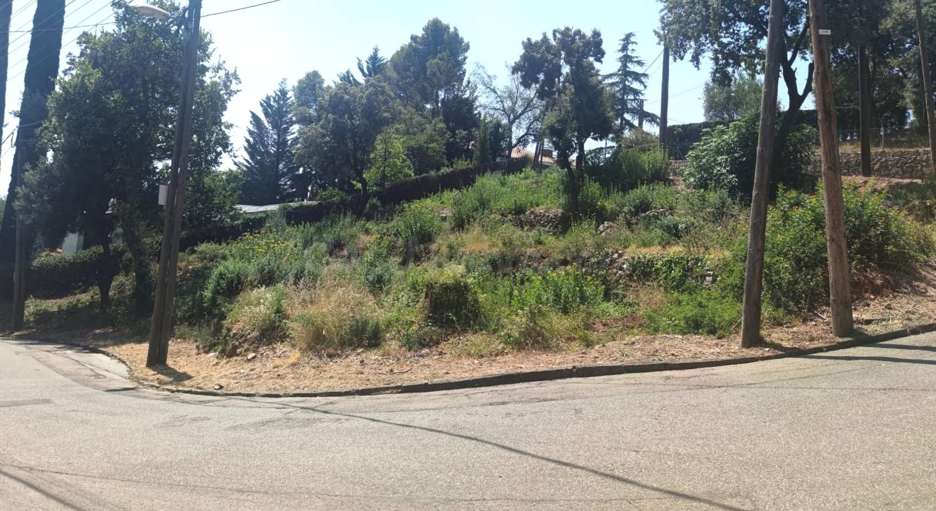 TERRENO EN VENTA, EN SANT FELIU DEL RACÓ - foto 2