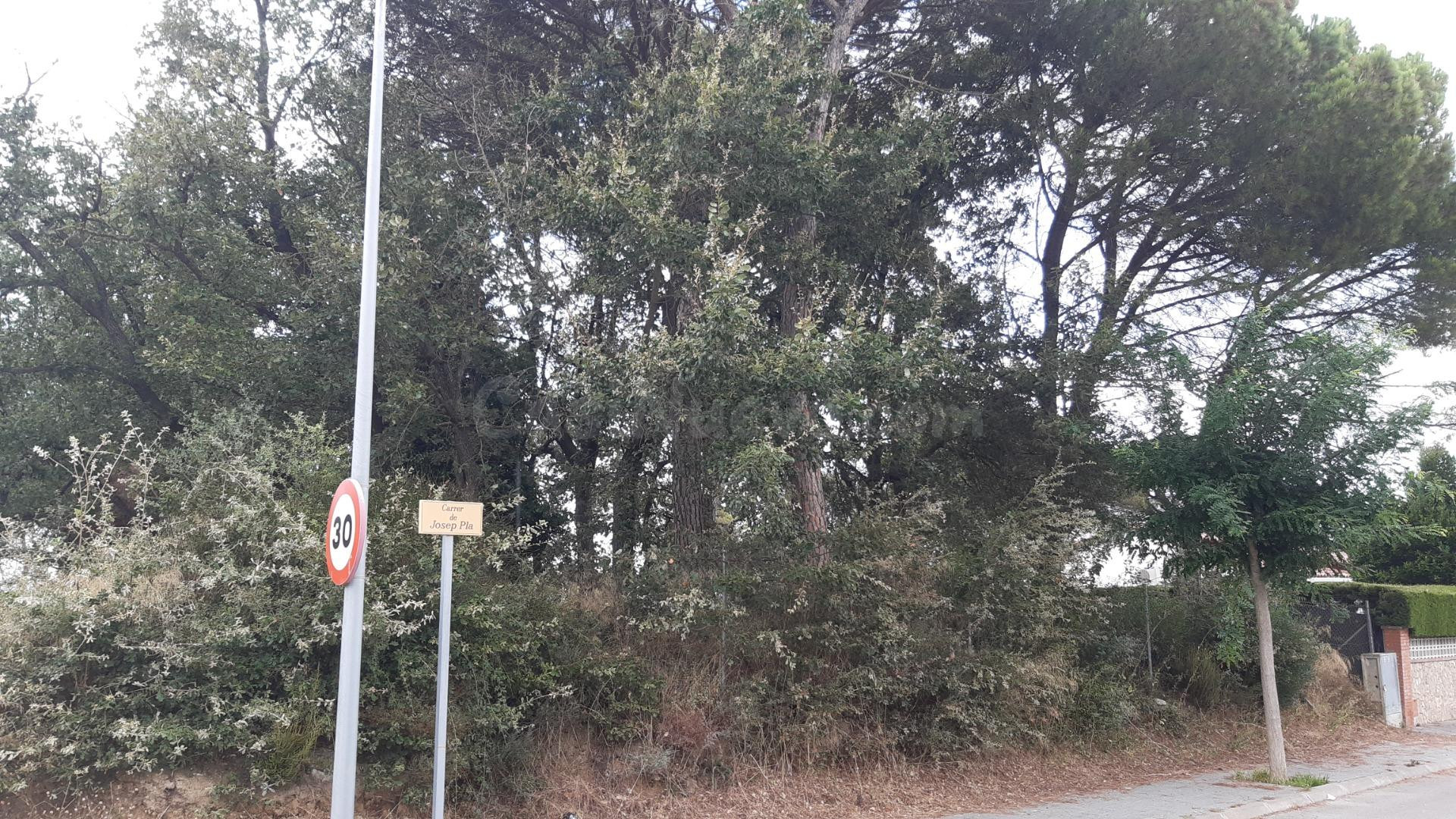 PARCELA DE 812 M2, EN CALDES DE MALAVELLA - foto 5