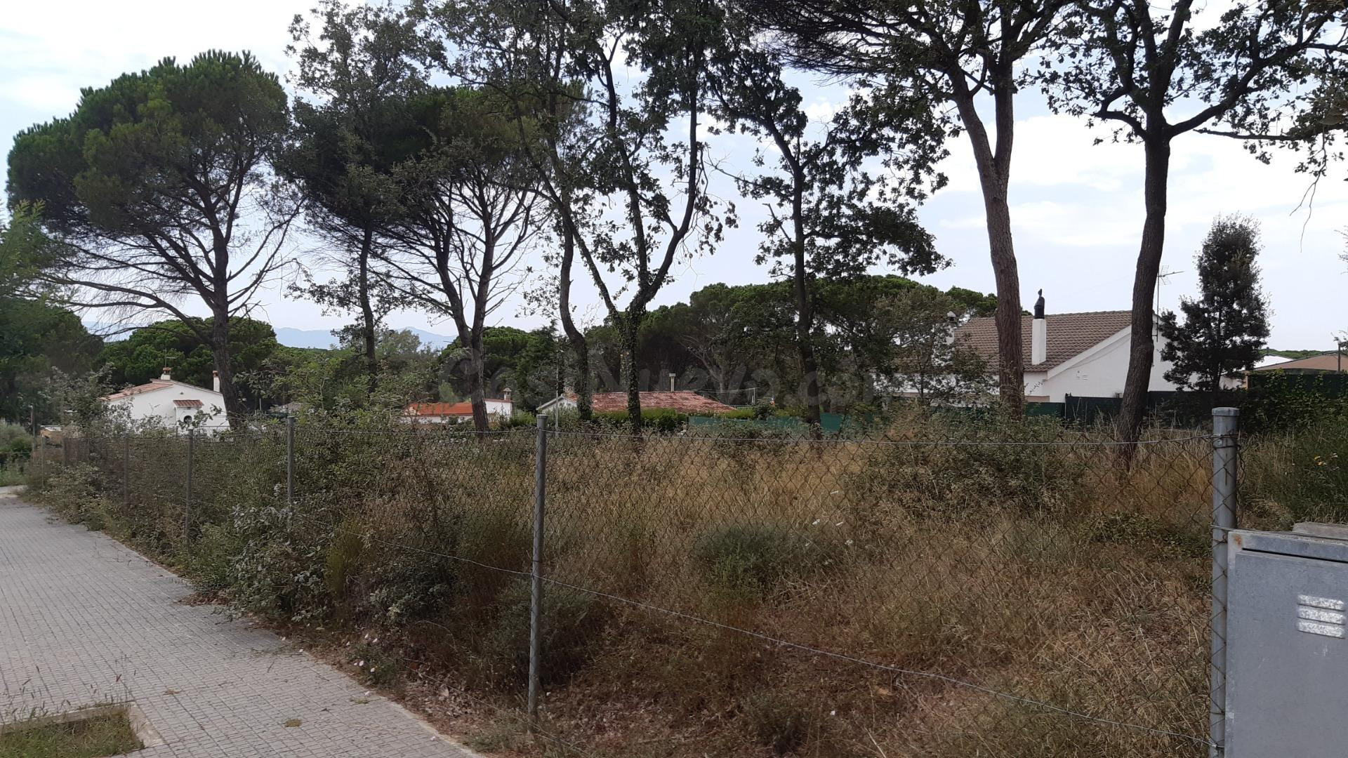 2 PARCELAS JUNTAS CON 1.615 M2, EN CALDES DE MALAVELLA - foto 2
