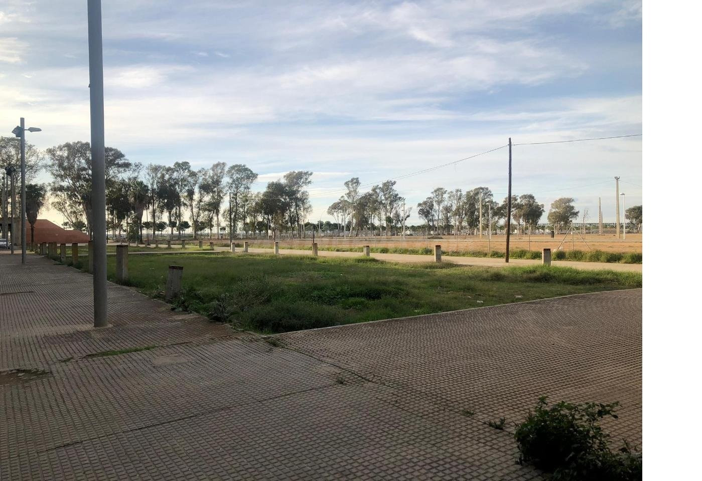 PARCELA MT4 USO TERCIARIO-OFICINAS.  NUEVO ESTADIO COLOMBINO - foto 3