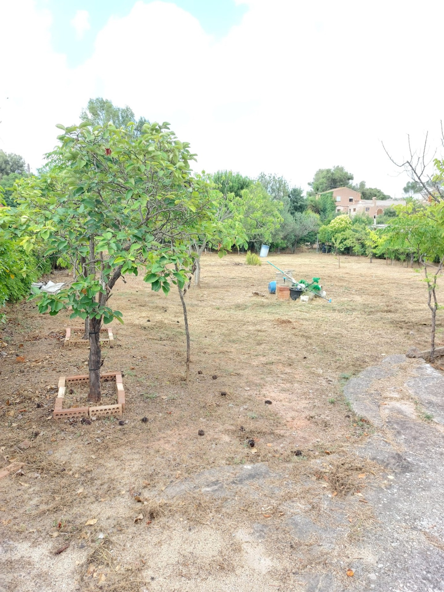TERRENO LLANO Y ESQUINERO. CON MURO Y AGUA - foto 4
