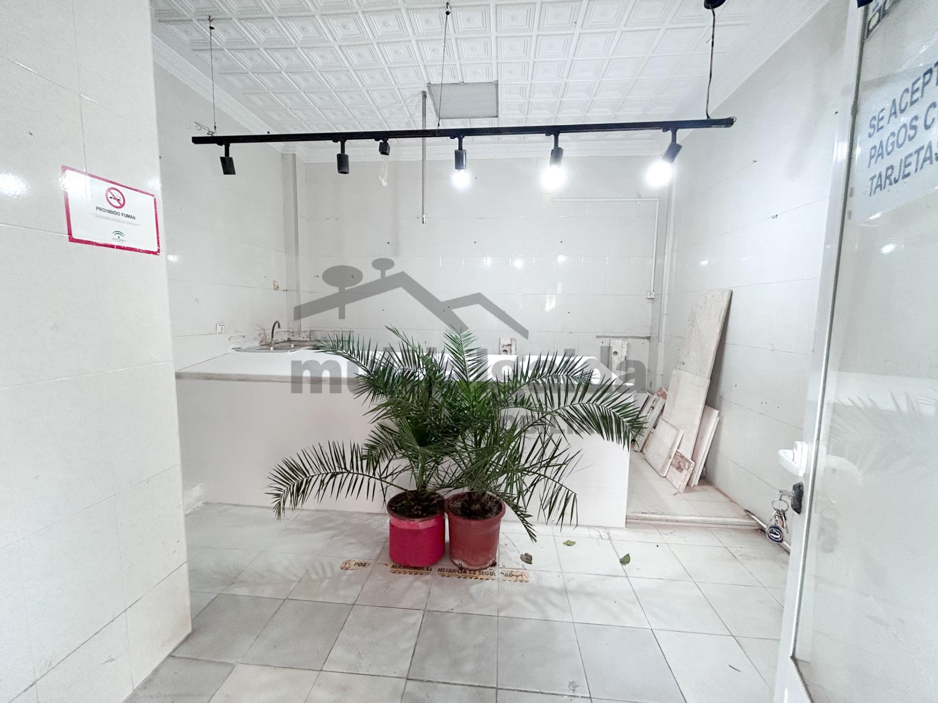 LOCAL COMERCIAL EN SAN JOAQUIN - foto 2
