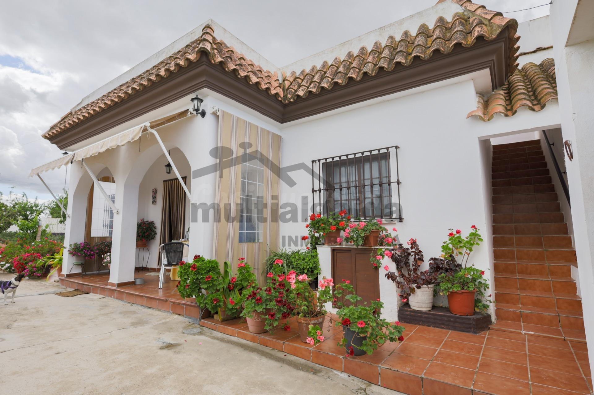FINCA RÚSTICA EN CAMINO SAN JERÓNIMO