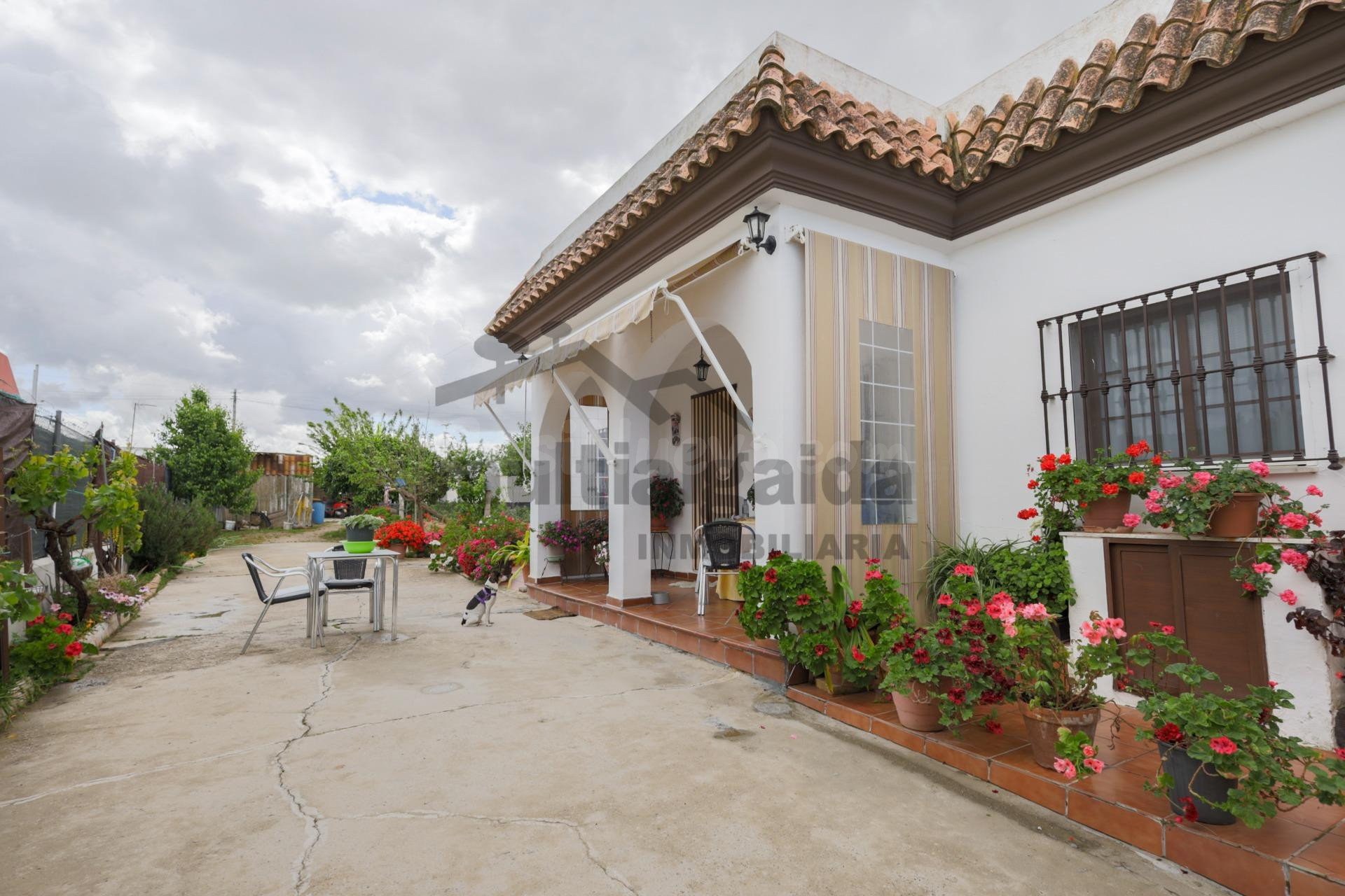 FINCA RÚSTICA EN CAMINO SAN JERÓNIMO - foto 2