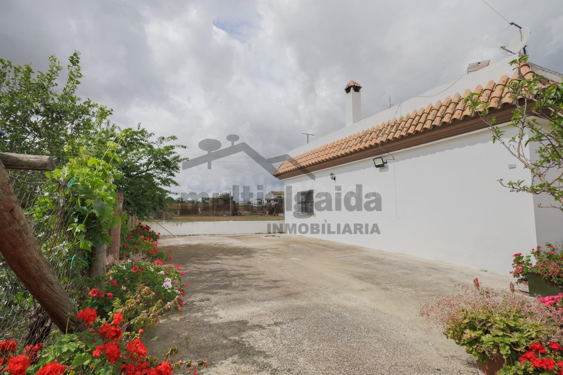 FINCA RÚSTICA EN CAMINO SAN JERÓNIMO - foto 4