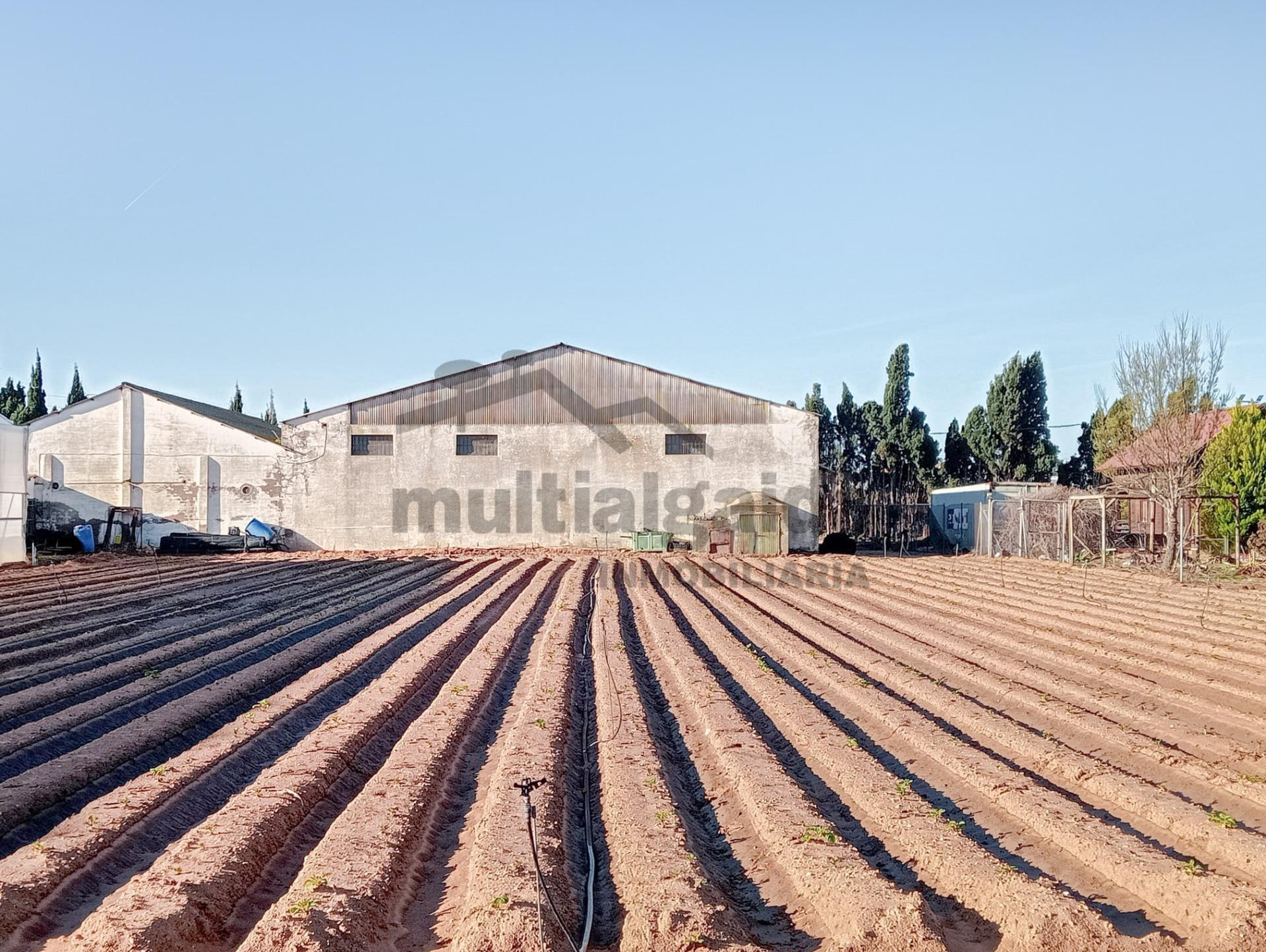FINCA RÚSTICA EN CTRA CHIPIONA - foto 2