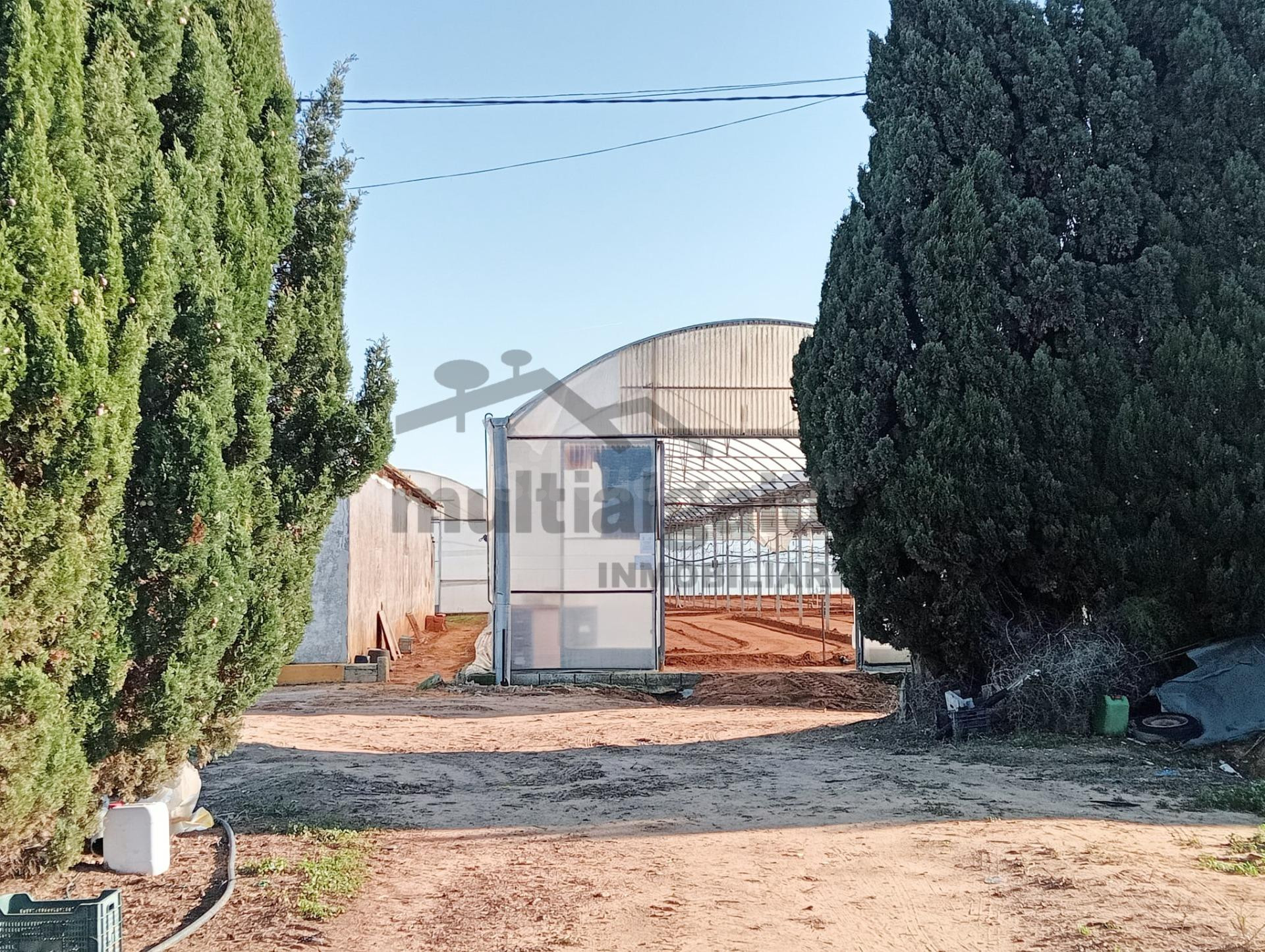 FINCA RÚSTICA EN CTRA CHIPIONA - foto 4