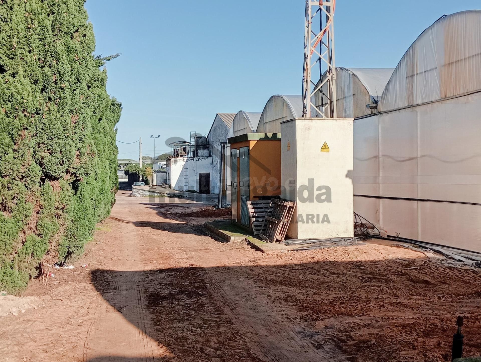 FINCA RÚSTICA EN CTRA CHIPIONA - foto 5