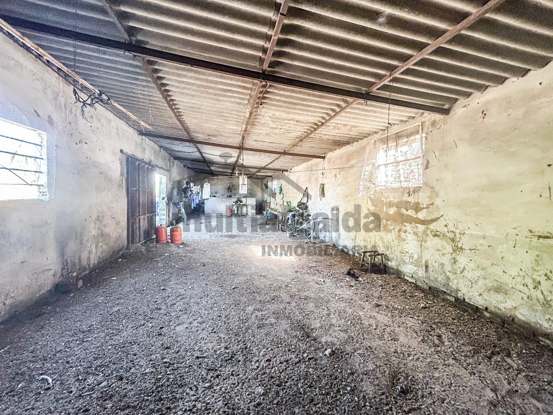 FINCA RÚSTICA EN LA ZONA DE MARTÍN MIGUEL - foto 2