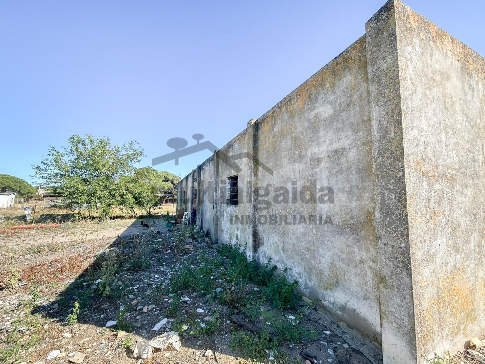 FINCA RÚSTICA EN LA ZONA DE MARTÍN MIGUEL - foto 4