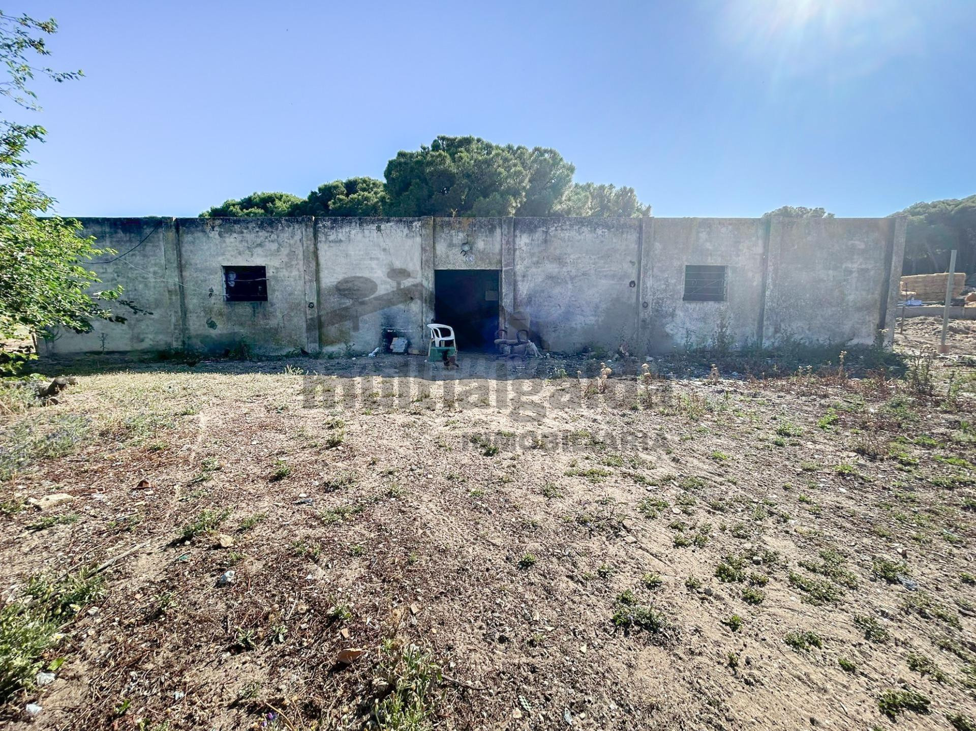 FINCA RÚSTICA EN LA ZONA DE MARTÍN MIGUEL - foto 5