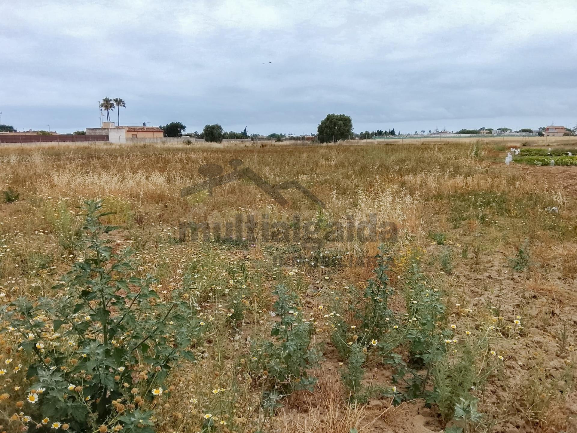 TERRENO RÚSTICO EN LA ZONA DE LA REYERTA