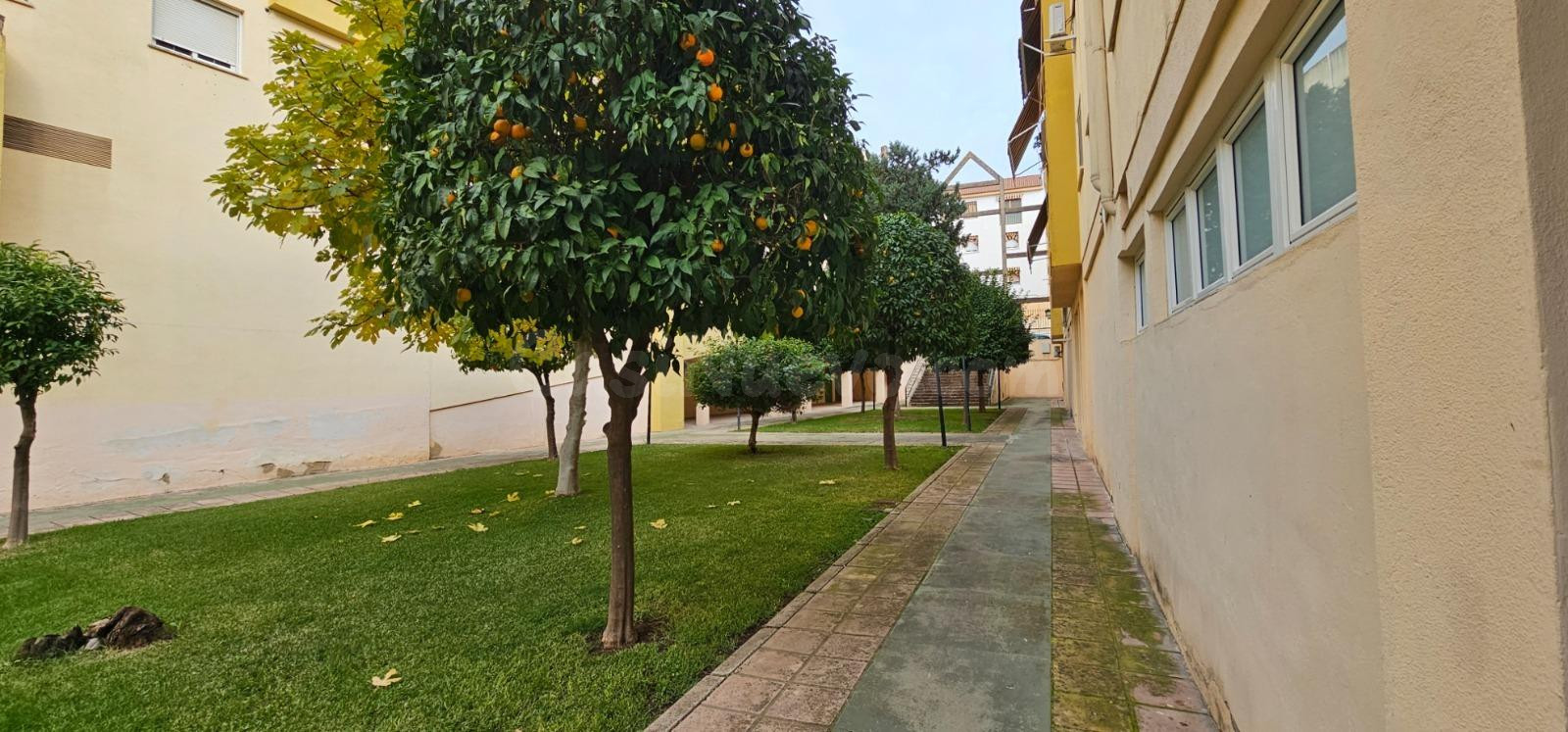 Loft totalmente reformado junto a Ollerías – Córdoba - foto 5
