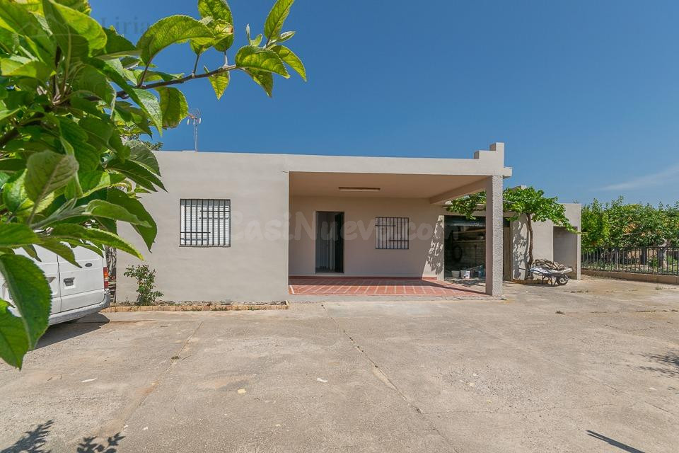 Ref. 04366 - EXCLUSIVA - Casa de campo con almendros en prod