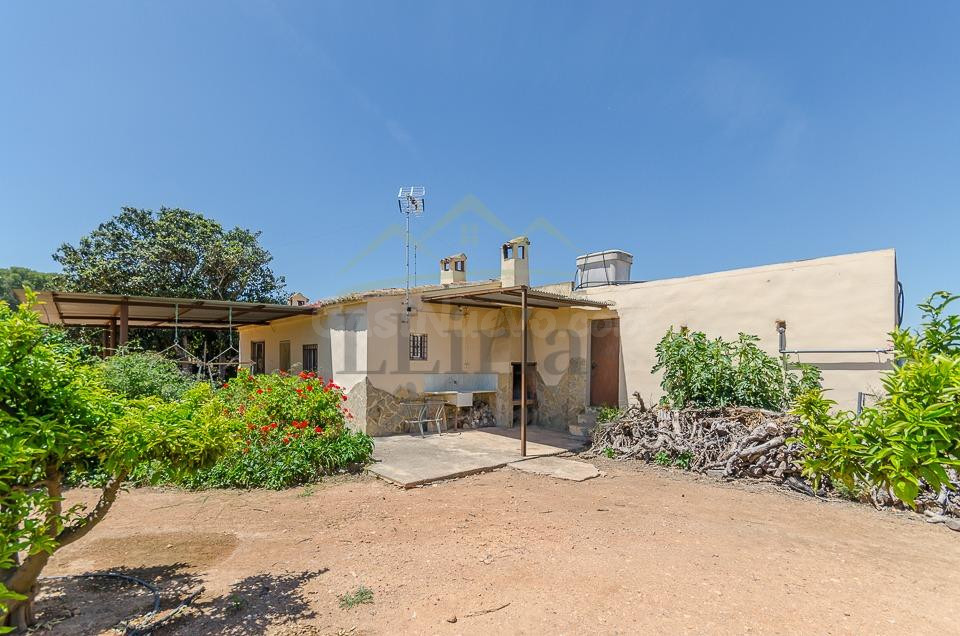 Ref. 04370.- Finca agrícola de 31.000 m2 con explotación de 
