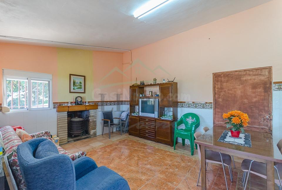 Ref. 04370.- Finca agrícola de 31.000 m2 con explotación de  - foto 2