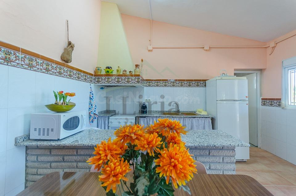 Ref. 04370.- Finca agrícola de 31.000 m2 con explotación de  - foto 3