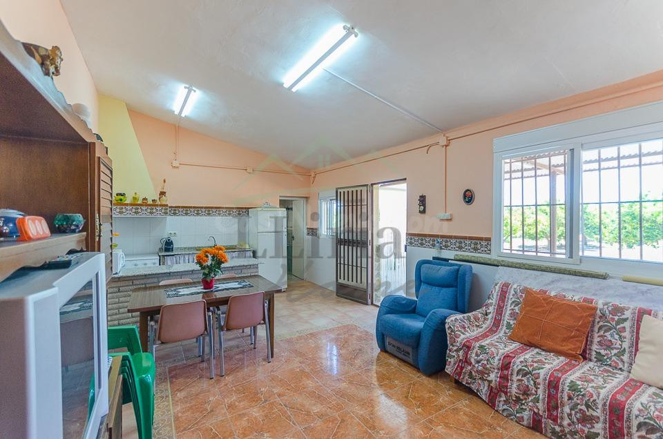 Ref. 04370.- Finca agrícola de 31.000 m2 con explotación de  - foto 4